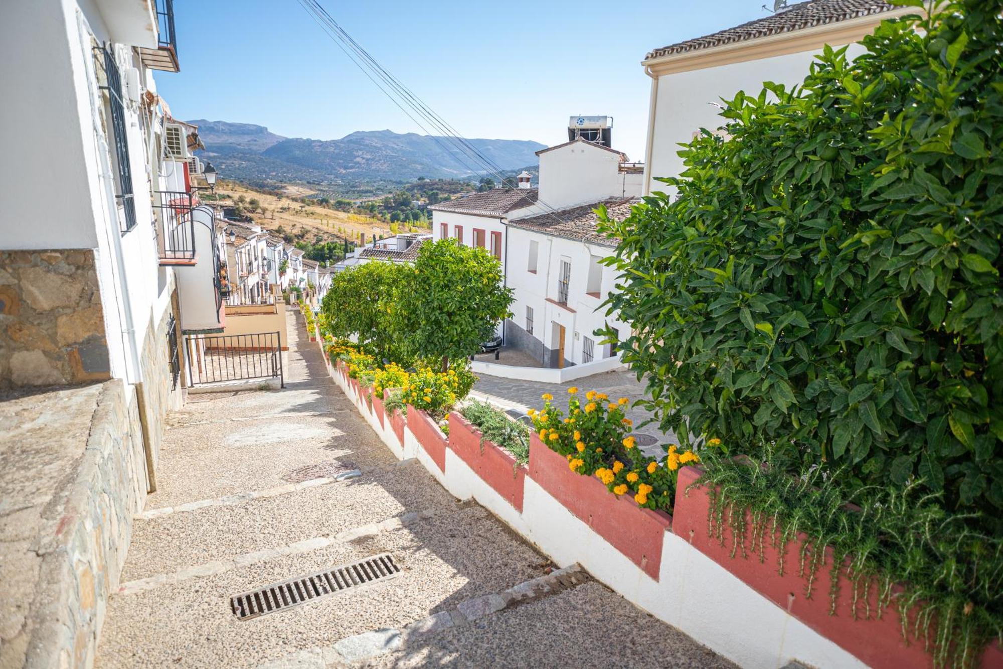 Apartament The Pava'S House Ronda Zewnętrze zdjęcie